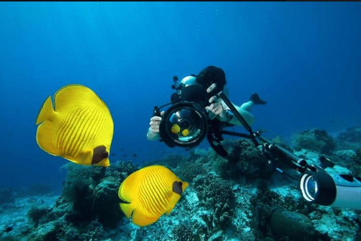 snorkeling in hurghada