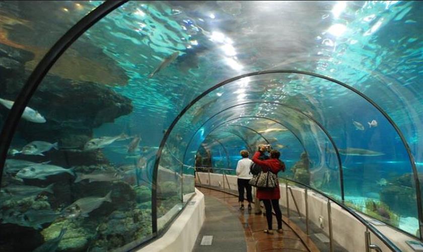 Grand Aquarium hurghada