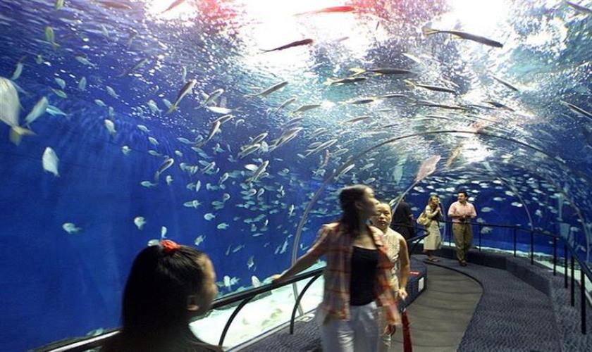 Grand Aquarium hurghada