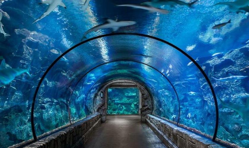 Grand Aquarium hurghada