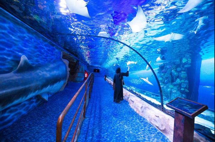 Grand Aquarium hurghada