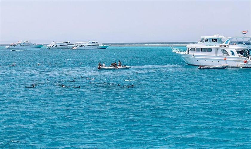 Marsa Alam Snorkeling at Satayh Dolphin Reef