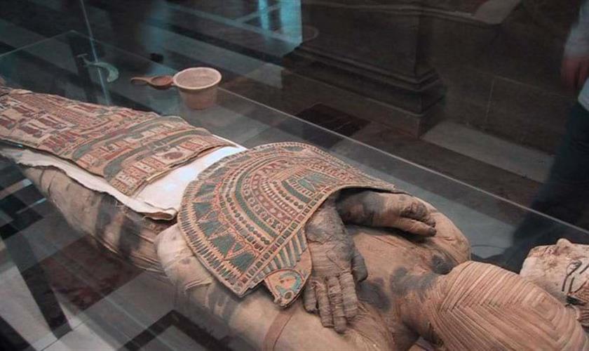 Mummification Museum Luxor Entrance Tickets