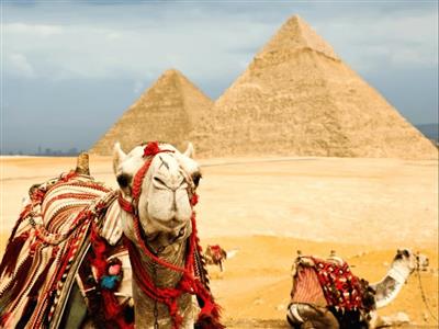 Saqqara Pyramid, Giza Pyramids and Memphis tours Egypt