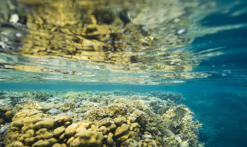 Sataya Reefs from Marsa Alam