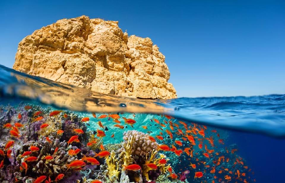 Snorkeling in Sharm El Sheikh