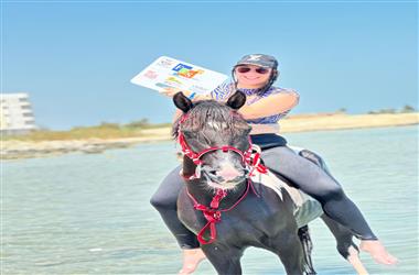 Best horse riding tour from hurghada - FTS Travels